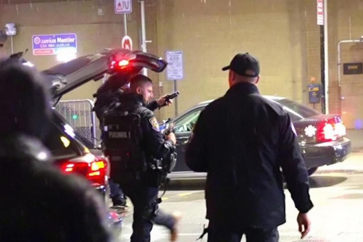 Tentative de cambriolage déjouée dans une concession automobile de Narbonne